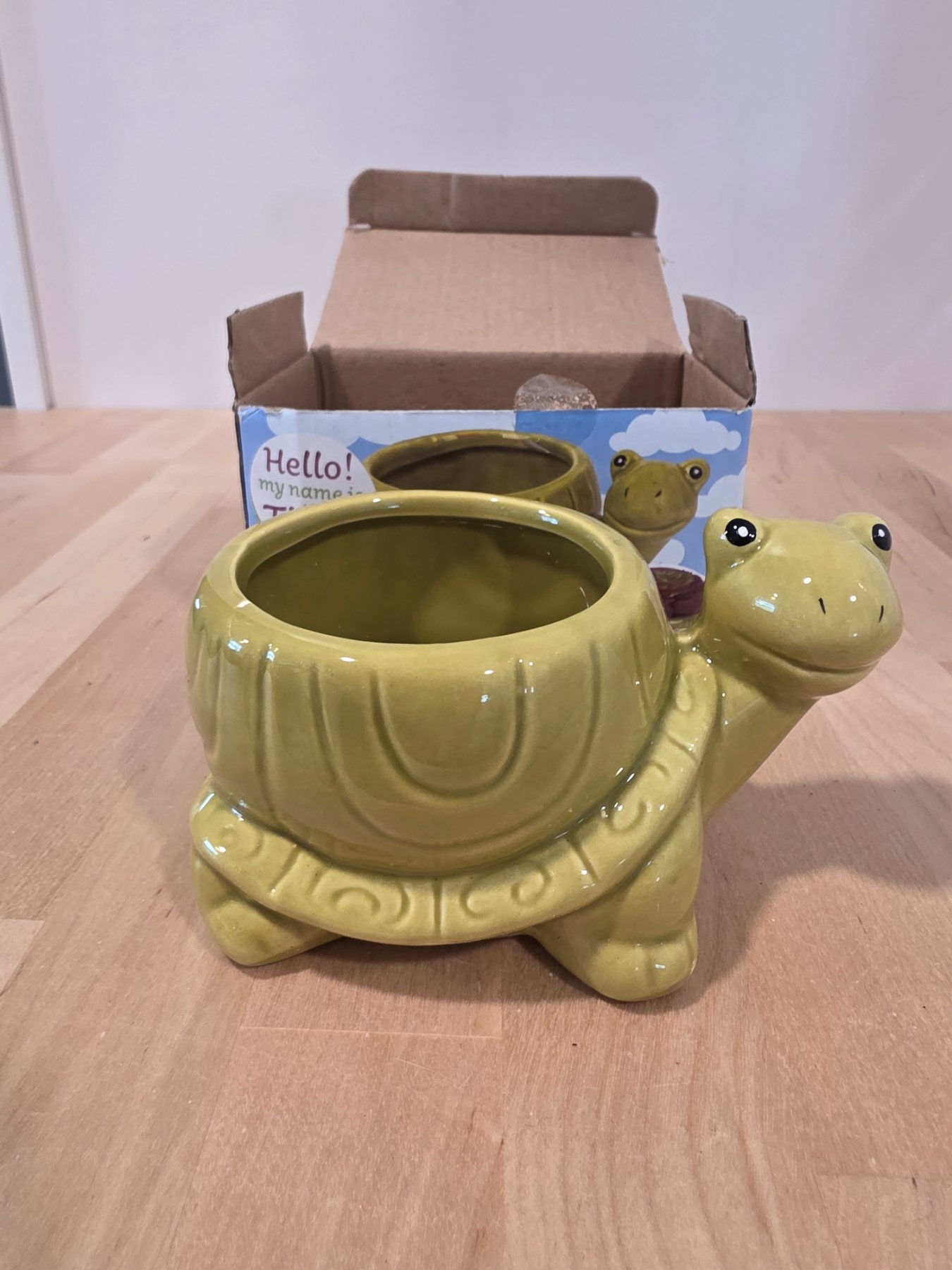 Tillie The Turtle Ceramic Animal Planter Green