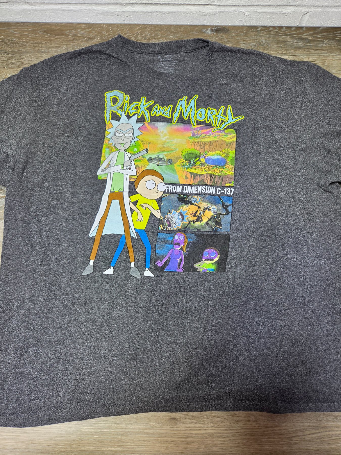 Rick and Morty Graphic T-Shirt Adult Gray Short Sleeve Dimension C-137