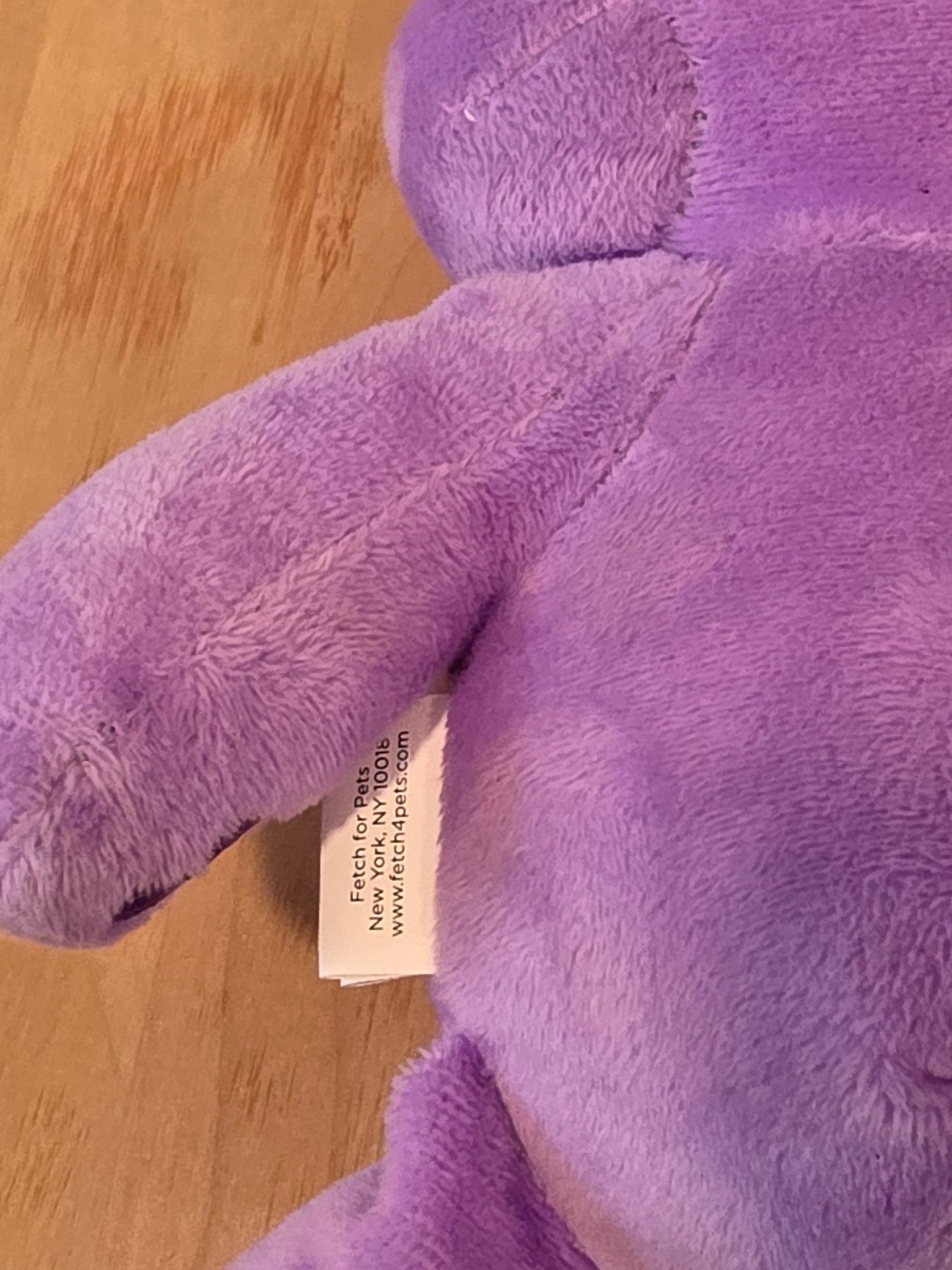 Care Bears Share Bear Purple Plush Dog Toy Fetch for Pets - Image 4