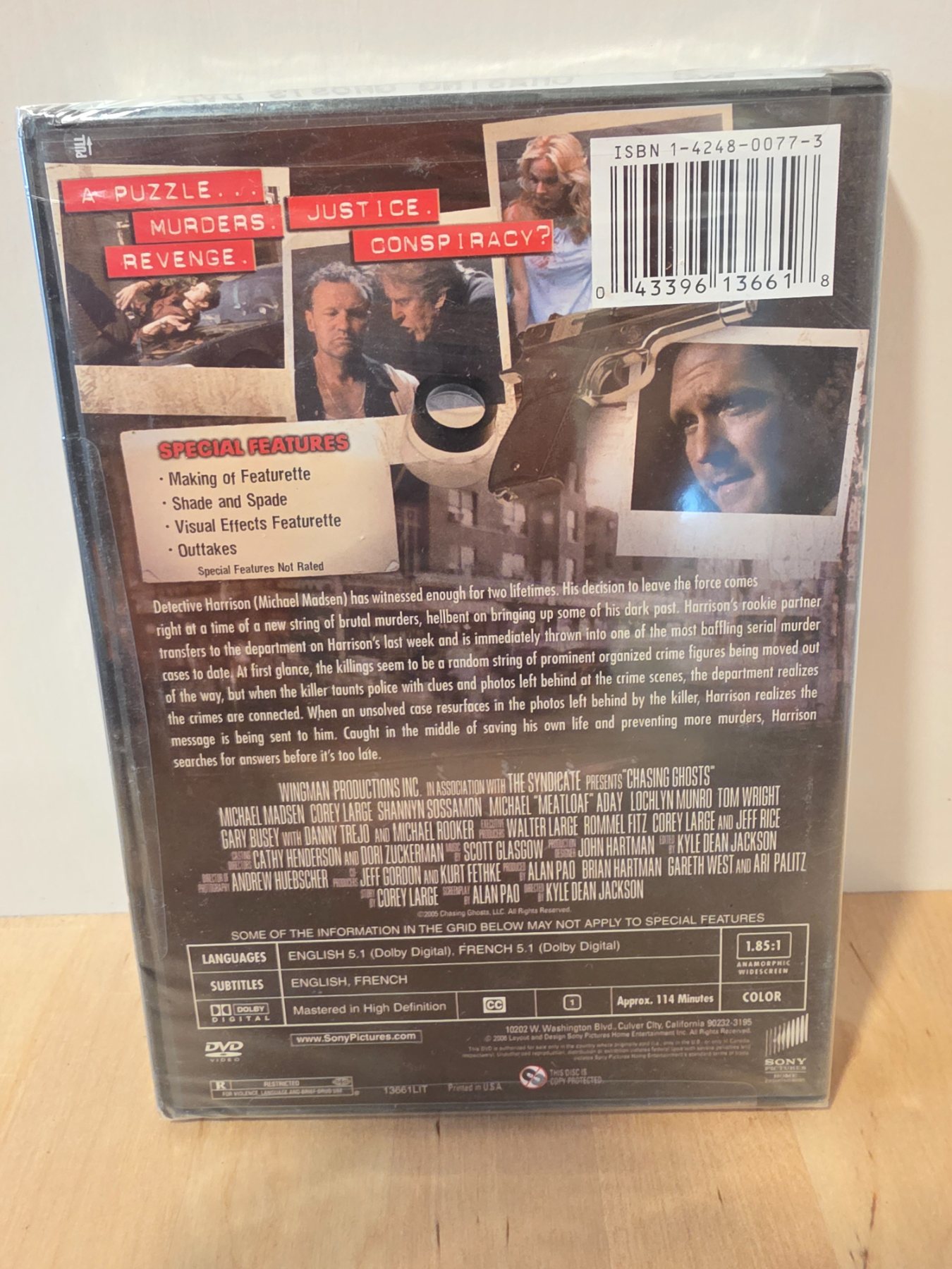 Chasing Ghosts DVD Michael Madsen Corey Large Gary Busey Widescreen - Image 2