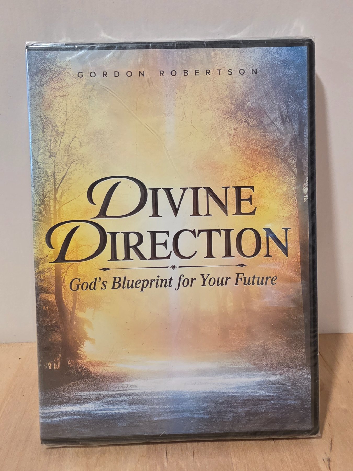 Divine Direction God's Blueprint for Your Future DVD Gordon Robertson