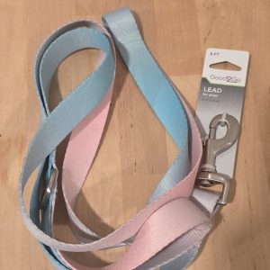 Good2Go 6 Ft Fashion Dog Lead Teal Ombre Pink Blue Leash