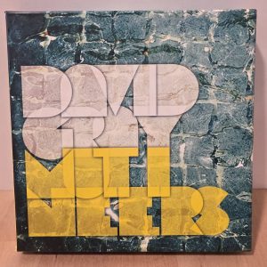 David Gray Mutineers Deluxe Edition 3 CD Box Set 2014 Cascade Live
