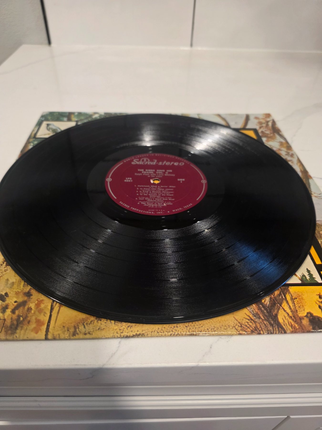 Ralph Platt The Birds Sing His Praise Vol. 2 Sacred Stereo LP LPS-4041 - Image 3
