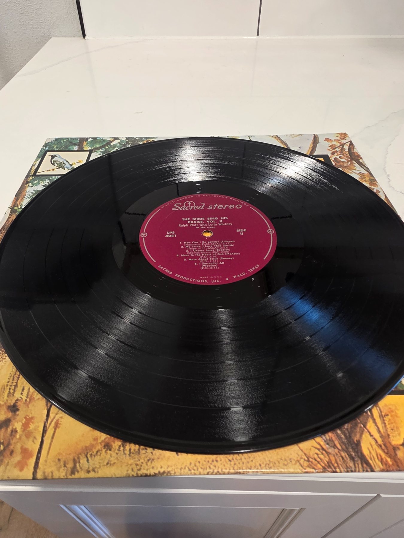 Ralph Platt The Birds Sing His Praise Vol. 2 Sacred Stereo LP LPS-4041 - Image 4