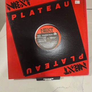Debbe Cole Could You Be Loved 12" Vinyl Promo Next Plateau 1993