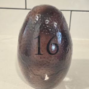 Hallmark Dinotopia Alpha Series #16 Collectible Dinosaur Egg