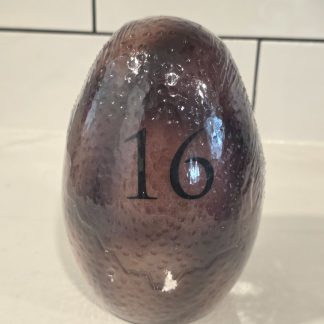 Hallmark Dinotopia Alpha Series #16 Collectible Dinosaur Egg