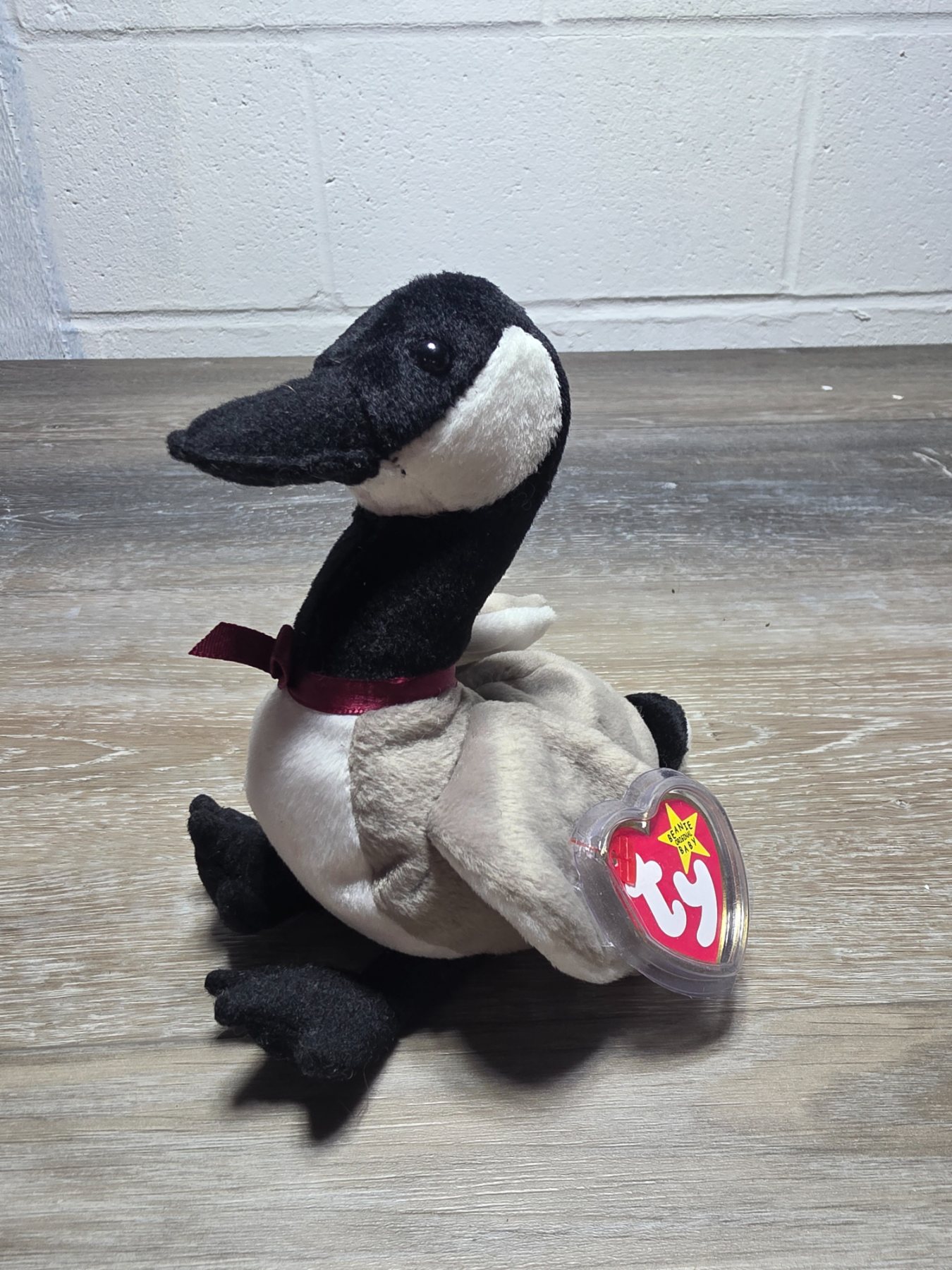 Ty Beanie Babies Loosy Canadian Goose Plush with Tags