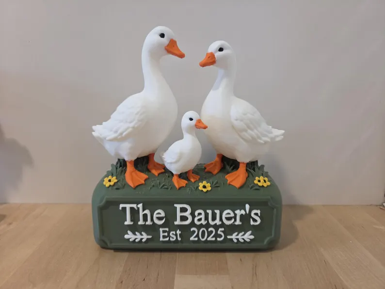 Personalized Goose Family Sign | Custom Last Name & Established Year