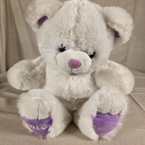 Dan Dee Sweetheart Teddy White Plush Bear Stuffed Animal Used